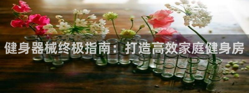 QY球友会体育官网