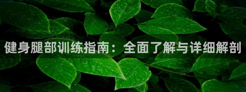 qy千亿球友会app