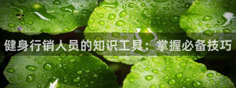 qy球友会官网app下载