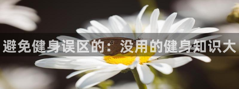 qy亿球友会体育